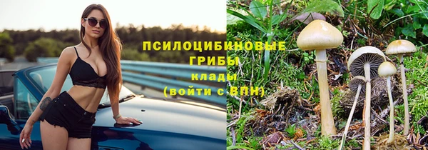 a pvp Алексеевка