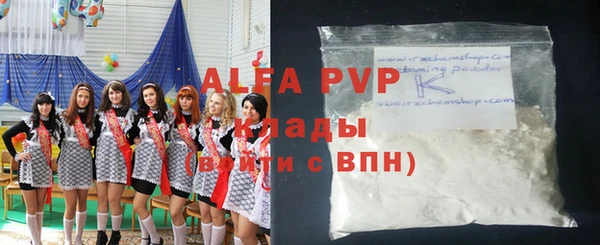 хмурый Алзамай