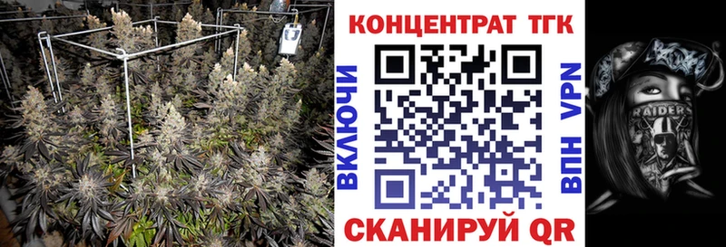ТГК Wax  магазин    мега маркетплейс  Новая Ляля 